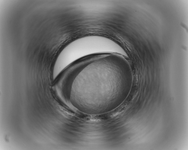 X0000094210601200710261212