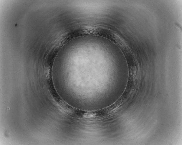 X0000094210602200710261212