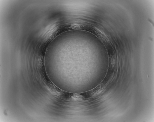 X0000094210603200710261212
