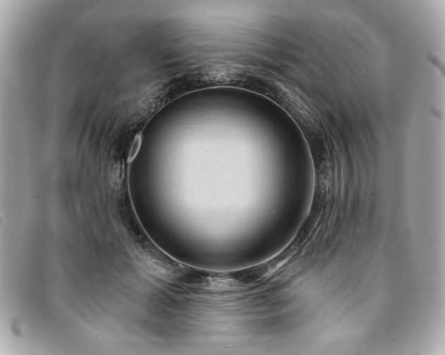 X0000094210605200710261212