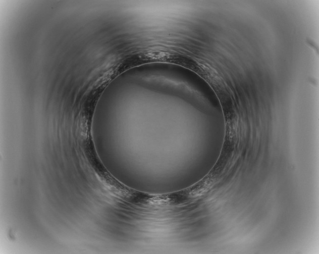X0000094210606200710261212