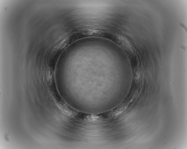 X0000094210607200710261212