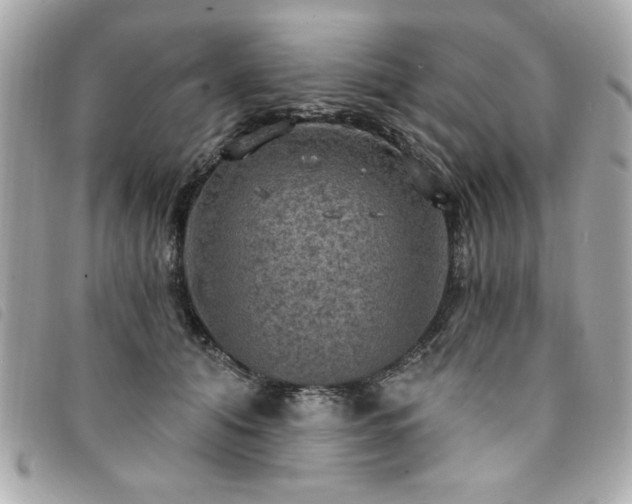 X0000094210608200710261212