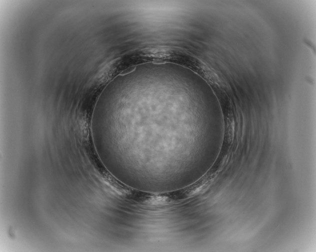 X0000094210609200710261212