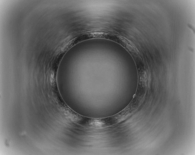 X0000094210610200710261212