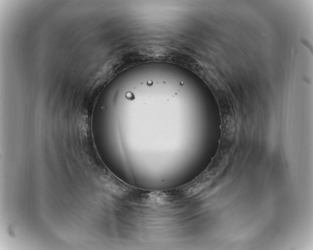 X0000094210612200710261212