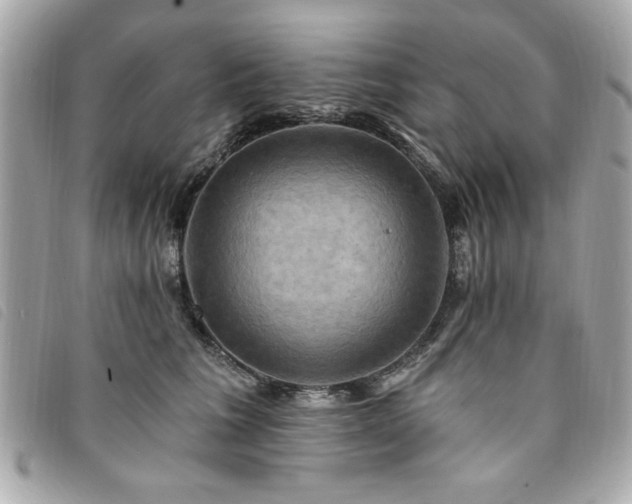 X0000094210613200710261212