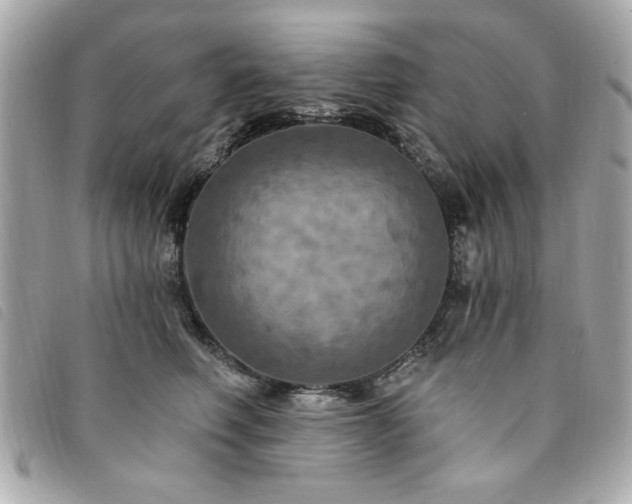 X0000094210614200710261212