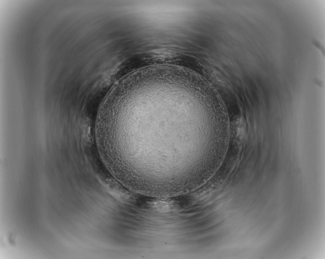 X0000094210615200710261212