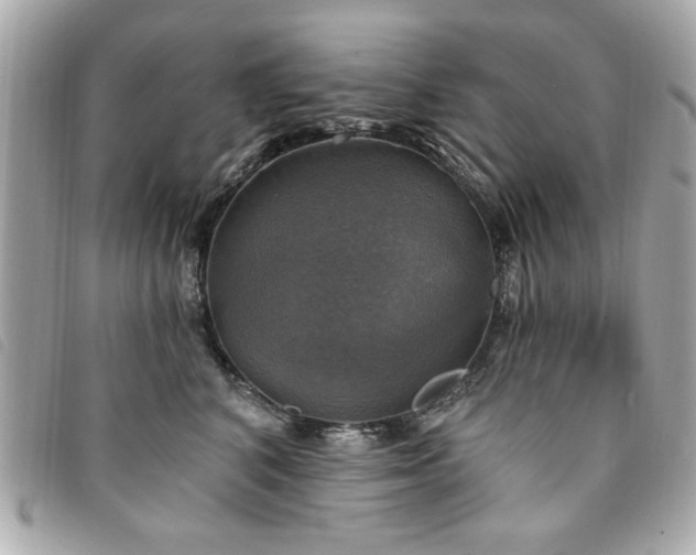 X0000094210616200710261212