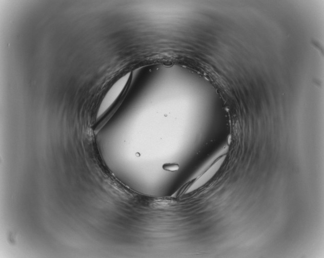 X0000094210617200710261212