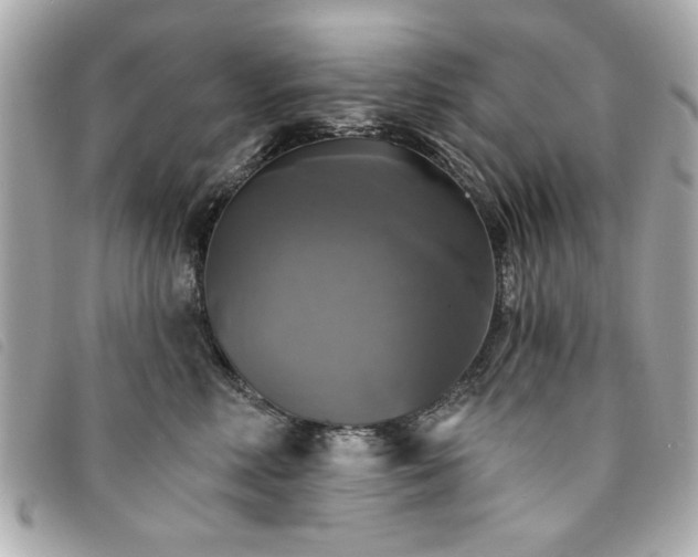 X0000094210618200710261212