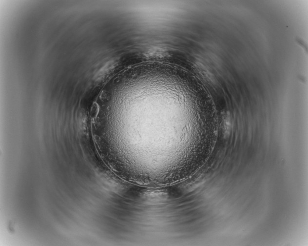 X0000094210619200710261212