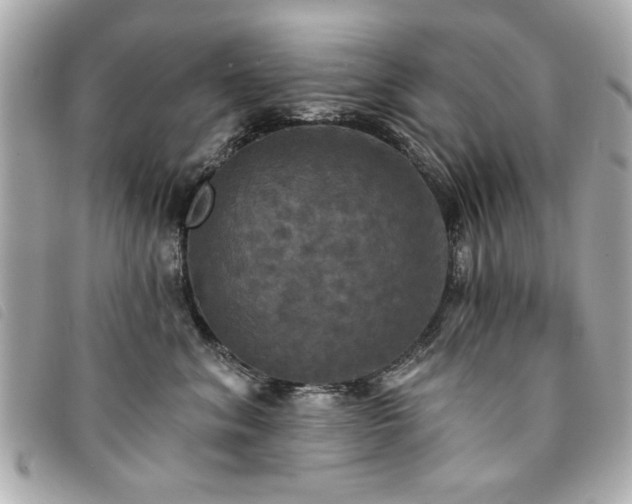 X0000094210620200710261212