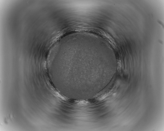 X0000094210621200710261212