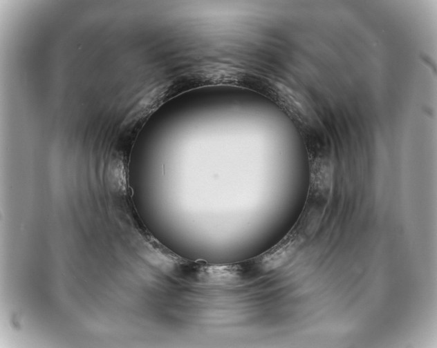 X0000094210622200710261212