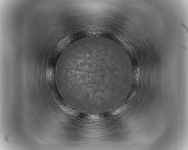 X0000094210623200710261212