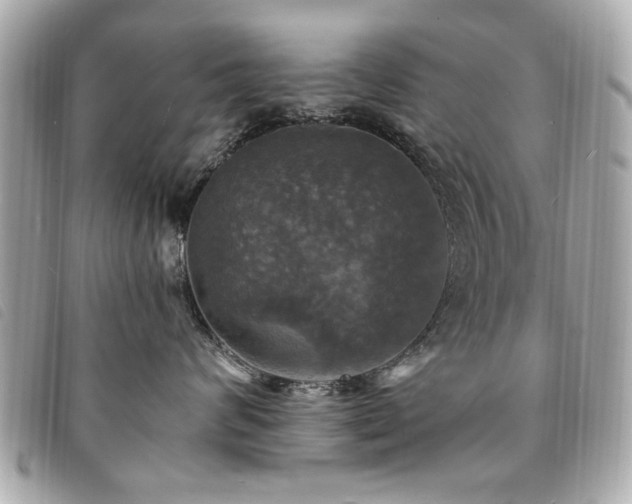 X0000094210624200710261212