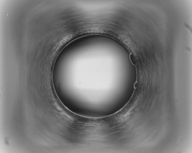 X0000094210625200710261211