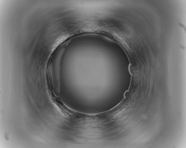 X0000094210626200710261211