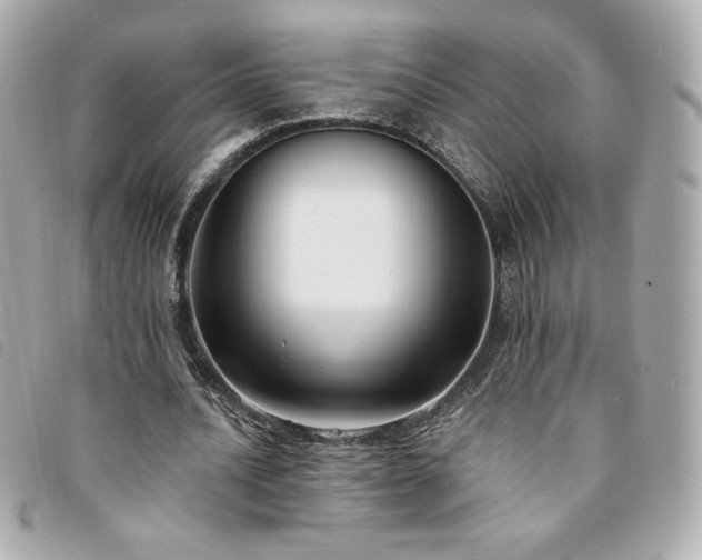 X0000094210628200710261211