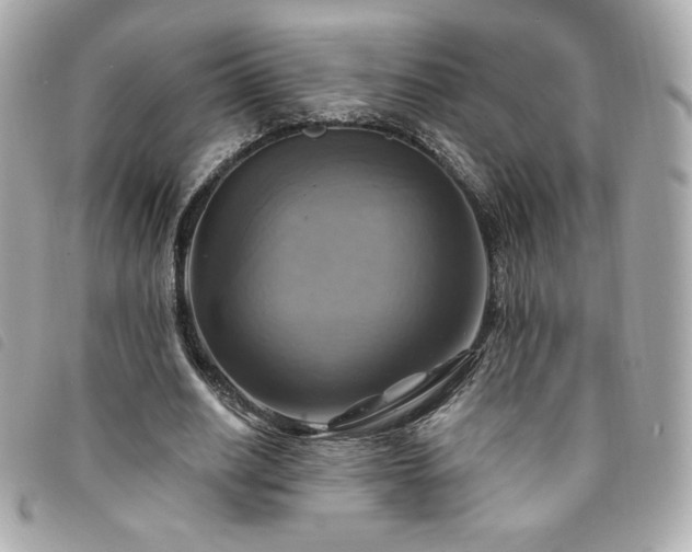 X0000094210630200710261211