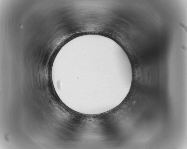 X0000094210632200710261211