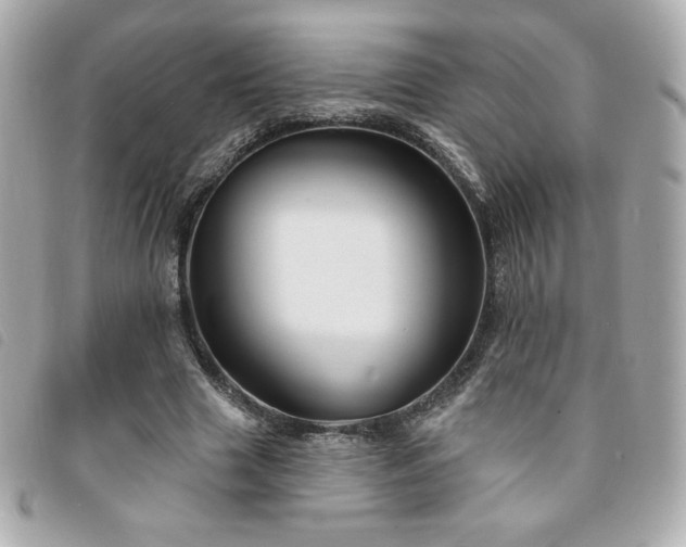 X0000094210633200710261211