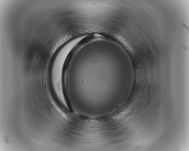 X0000094210634200710261211