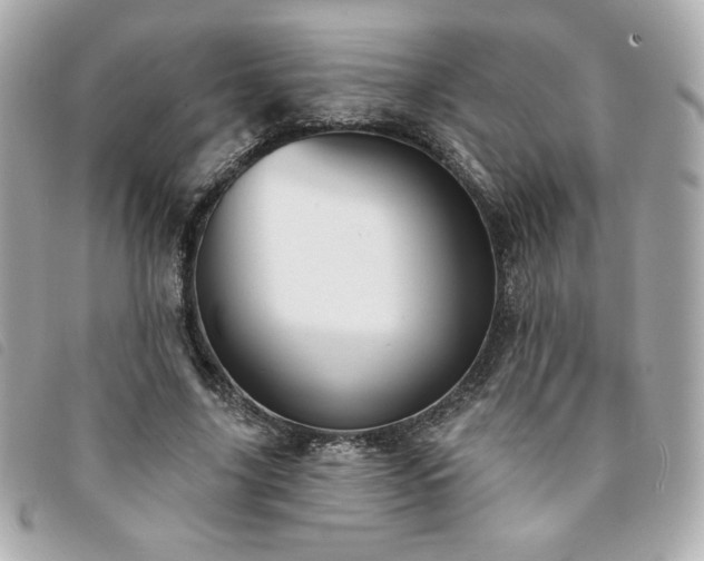 X0000094210635200710261211