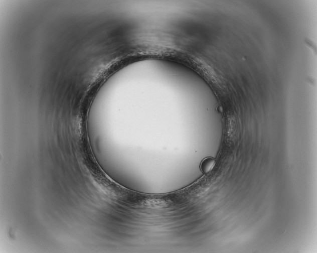 X0000094210636200710261211