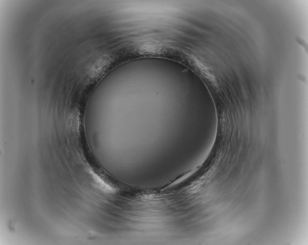 X0000094210637200710261211