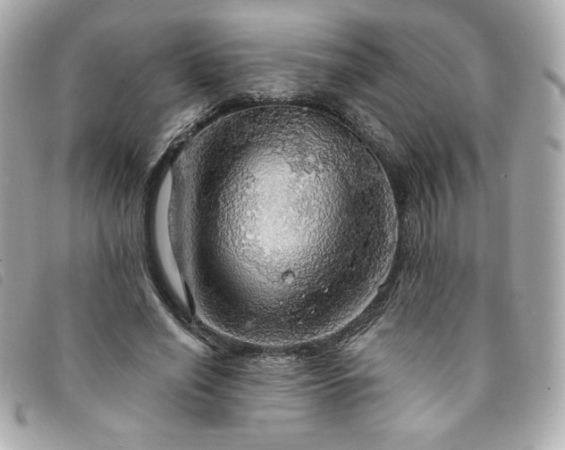 X0000094210638200710261211