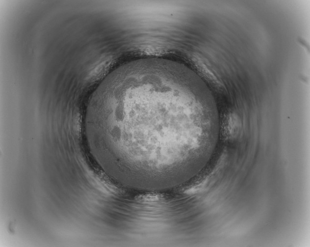 X0000094210639200710261211