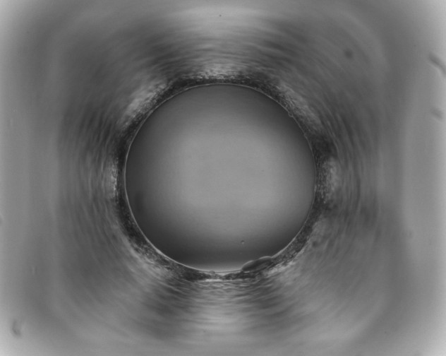 X0000094210640200710261211