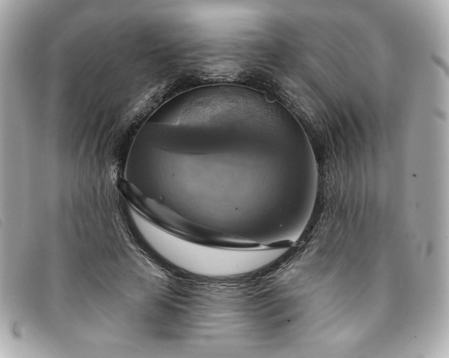 X0000094210641200710261211