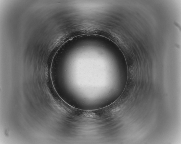 X0000094210642200710261211