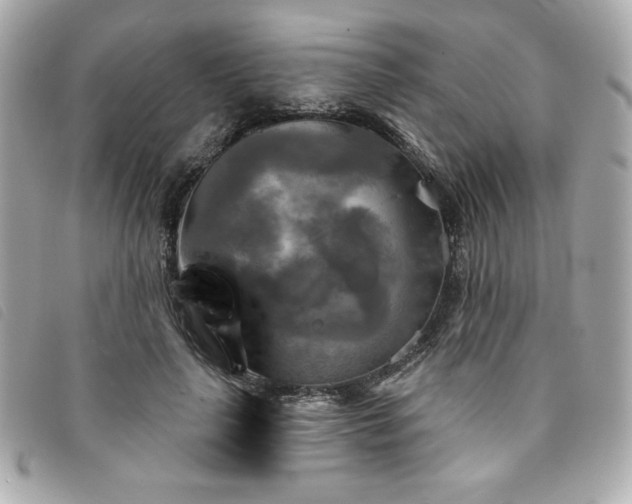 X0000094210643200710261211
