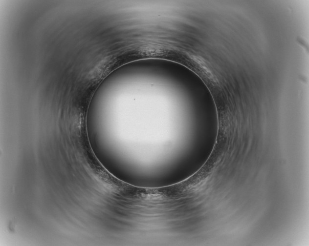 X0000094210645200710261211