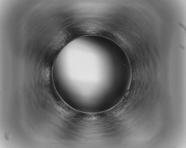 X0000094210646200710261211