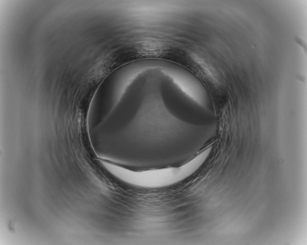 X0000094210647200710261211