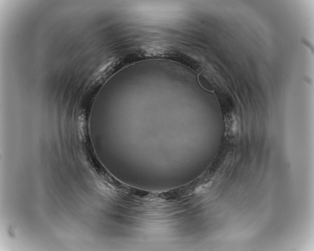 X0000094210648200710261211