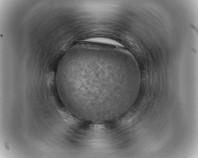 X0000094210649200710261211