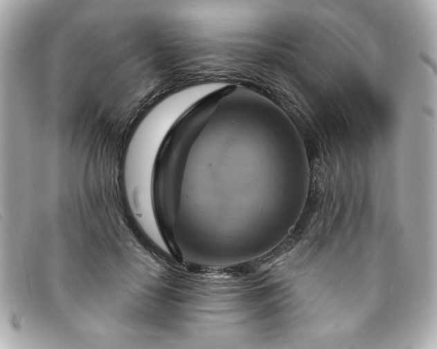 X0000094210650200710261211