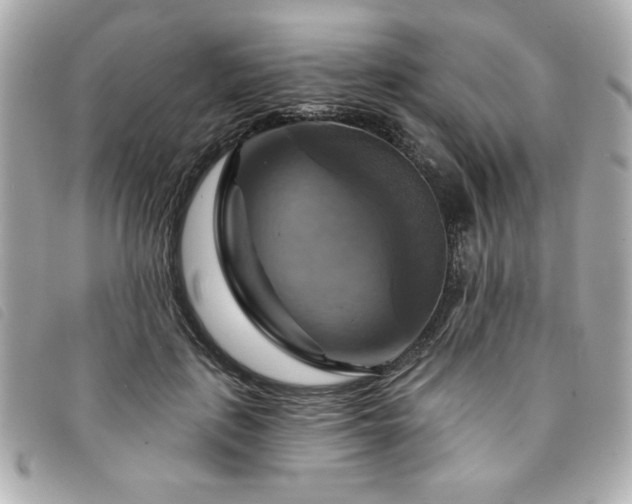 X0000094210651200710261211