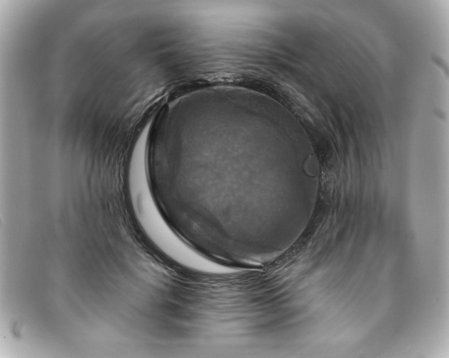 X0000094210652200710261211