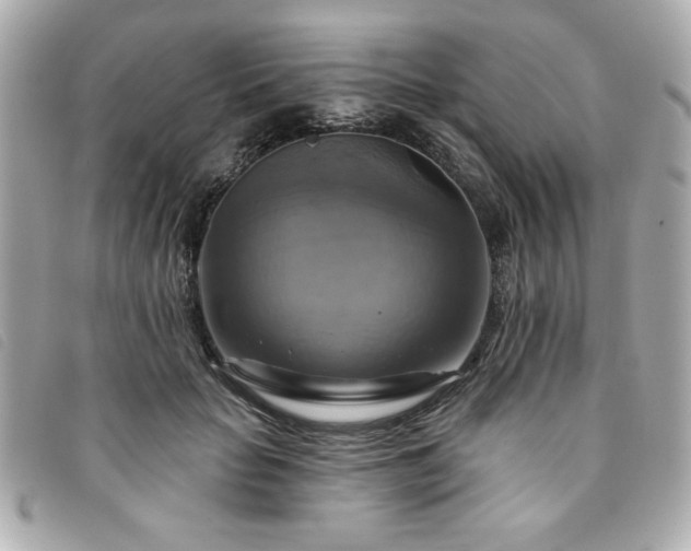 X0000094210653200710261211