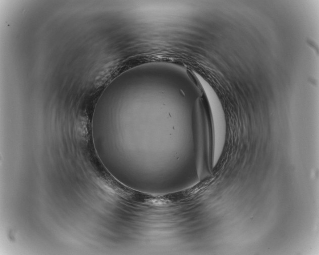 X0000094210654200710261211