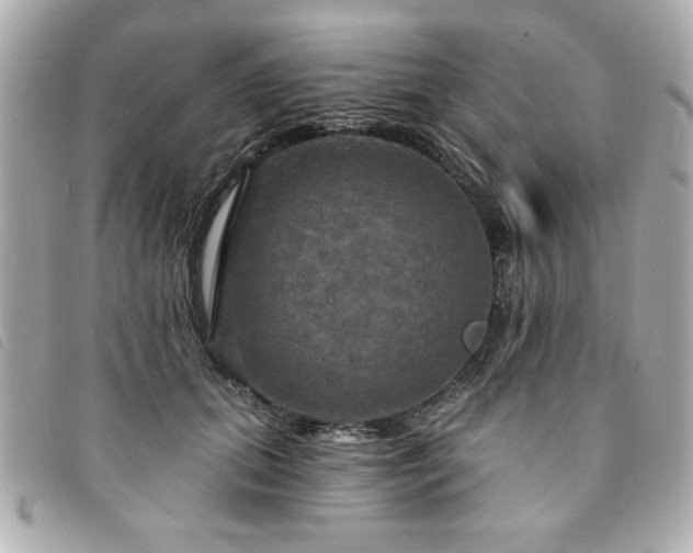 X0000094210655200710261211