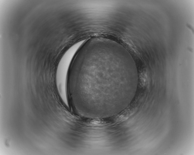 X0000094210657200710261211